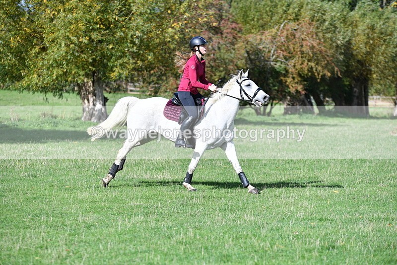 WJ5_8264 - Time 12:02 to 12:32