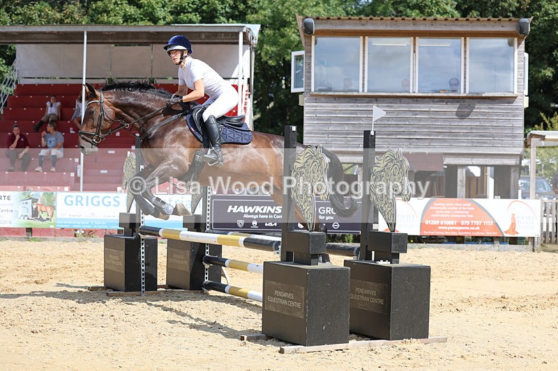 3E7A3705 - Class 4: Senior British Novice/90cm open