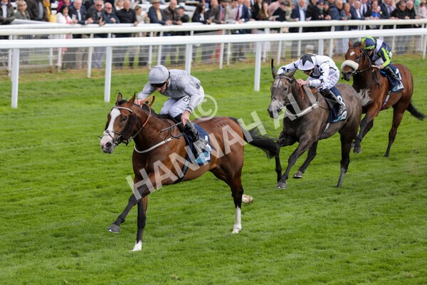 yr12052022r5-17 - Race 5 4.10pm British Stallion Studs EBF Westow Stakes