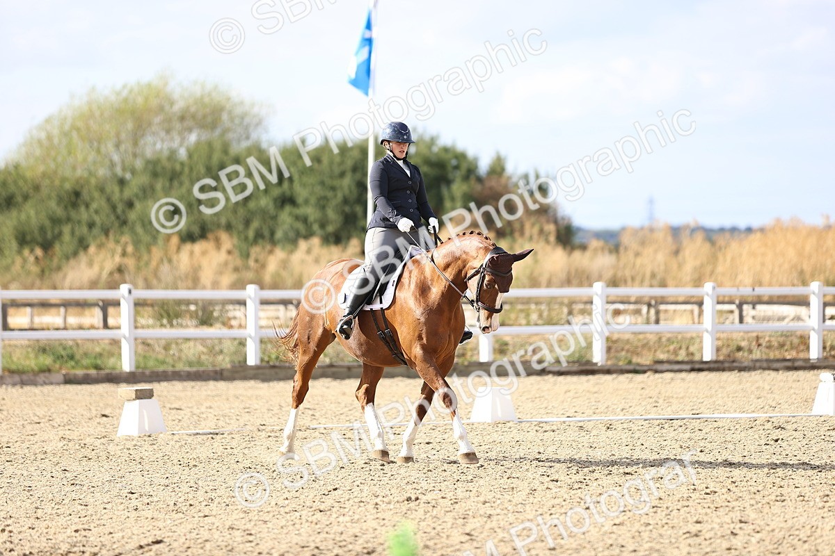 SBM_016031 - Class 5 - E5 Bronze  16.18.17.22