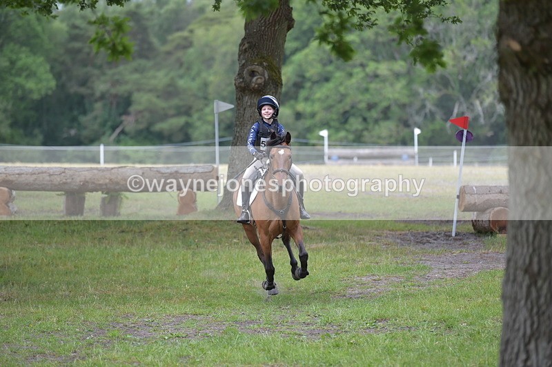 NGP_9171 - Time 12:34 to 12:37