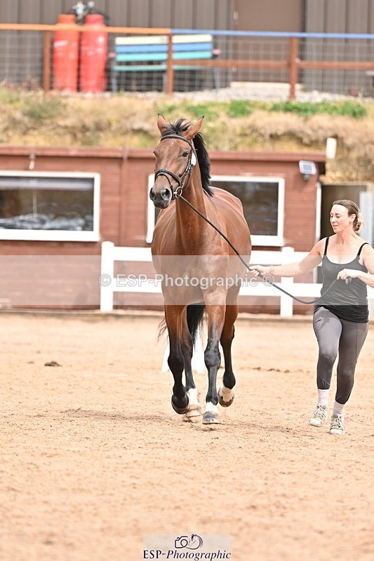 250716-154024-02102 - Trot Up 3.30 to 4.30