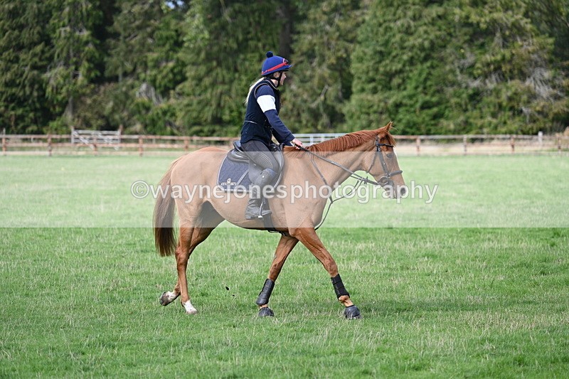 WJ7_9613 - Time 13:13 to 13:55