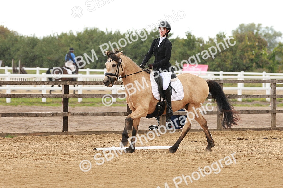SBM_002881 - Novice 2