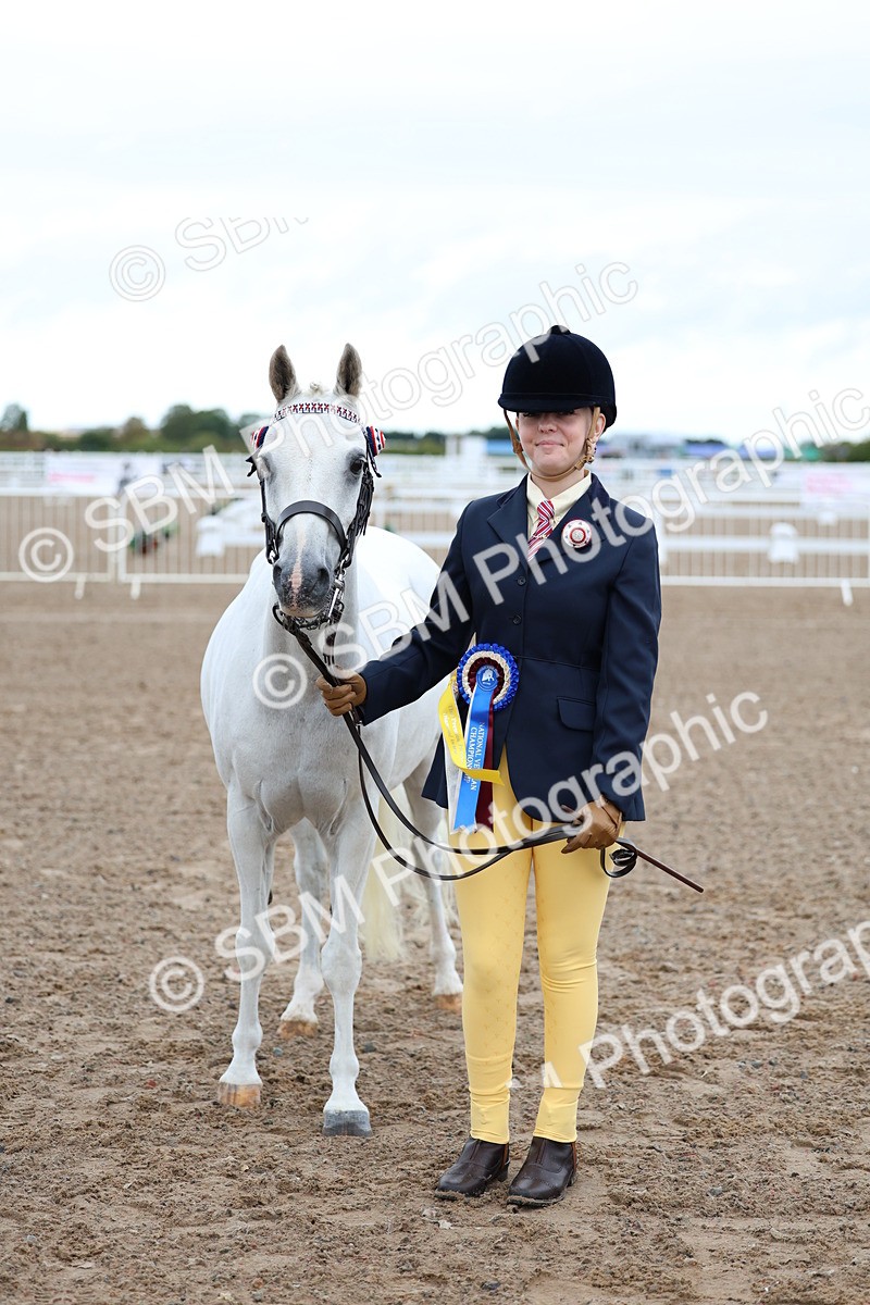 SBM_00267 - Class 13 - Young Handler