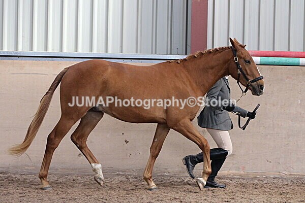 SIAL9616 - Indoor Classes