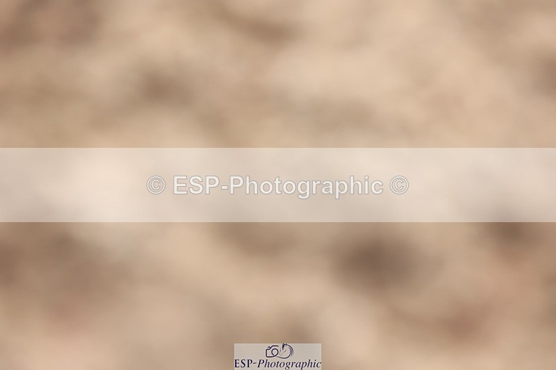 250629-172402-13704 - Cls 30 138cm HOYS Qualifier