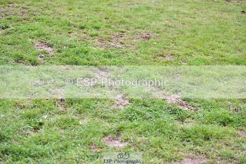 230713-164714-29406 - Cls 65 1.40m Grand Prix