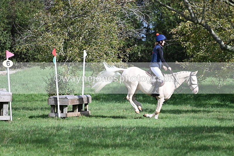 WJ7_8570 - 60cm Pairs