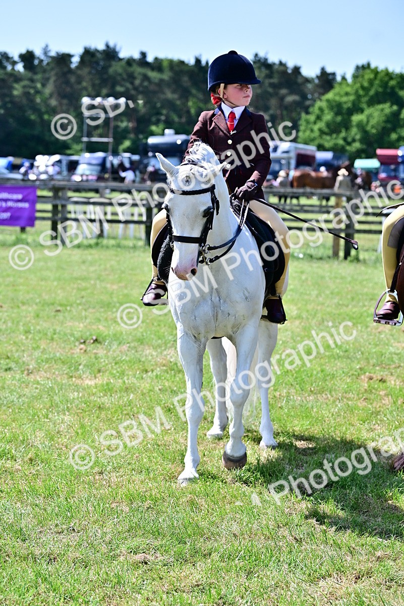 SBM_15285 - Class 95-97 - BSPS LHS Performance Ponies