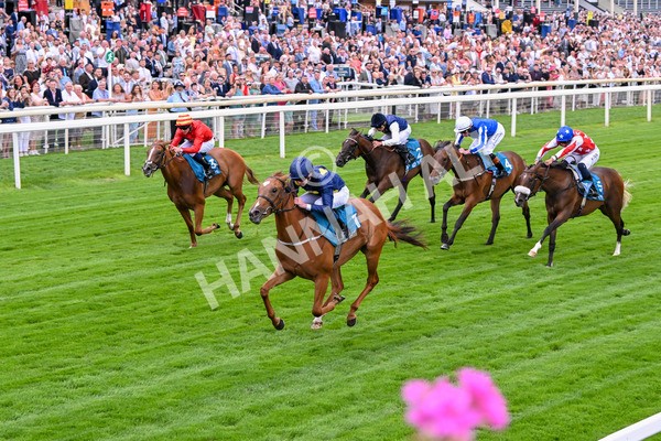 260725-Race 1-Golden Palace-7103 - Race 1 1.25pm £100K ITV7 Jackpot Today EBF Fillies' Novice Stakes