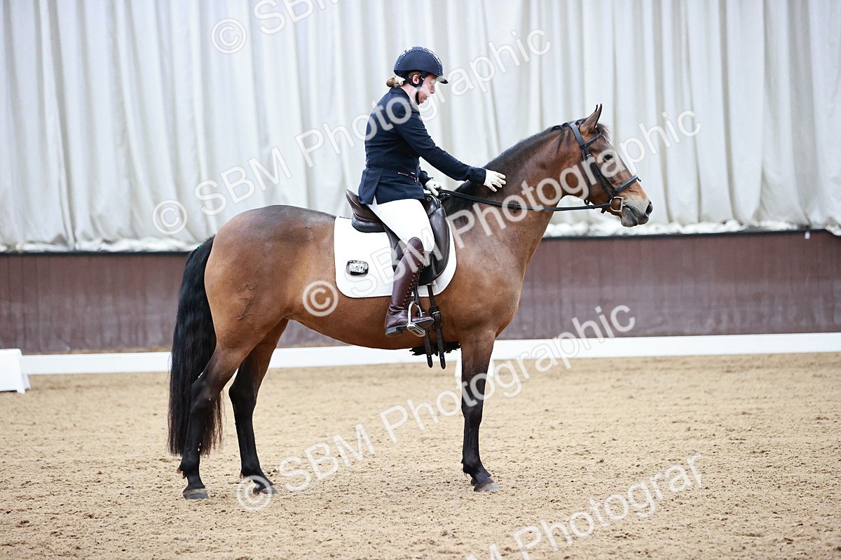 SBM_000800 - Class 2-5-4-6 - Paso Doble-Golega-Novato-Sevilla - FSM