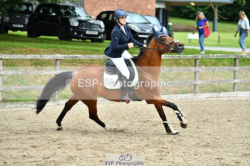 230713-101733-26713 - Cls 69 British Novice & 90cm Open