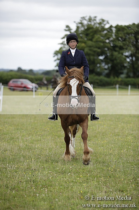 BVR160717-1527 - Ring 1 BVRC Show 16/07/17