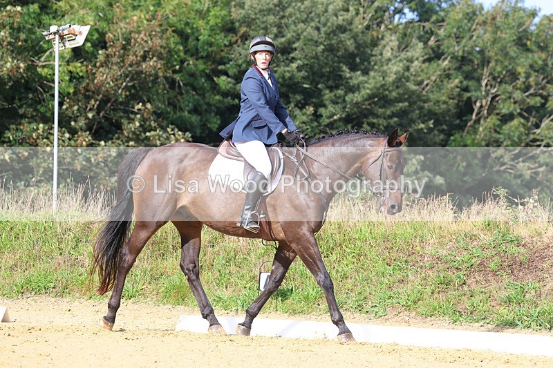 3E7A2156 - Class 1: Intro 4 2024 section A