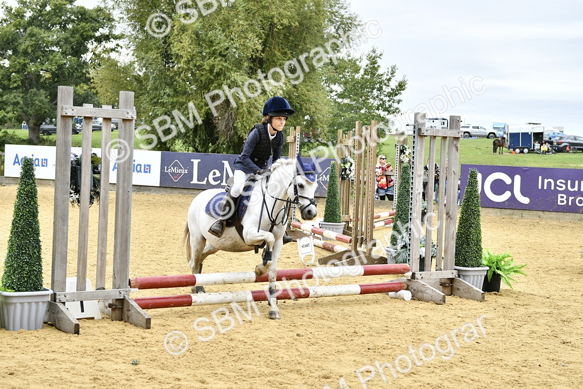 SBM_65495 - J2a mini Tour Junior Pony 30cm Championship