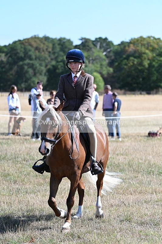 WJ7_4013 - Class 9 Mountain & Moorland Ridden