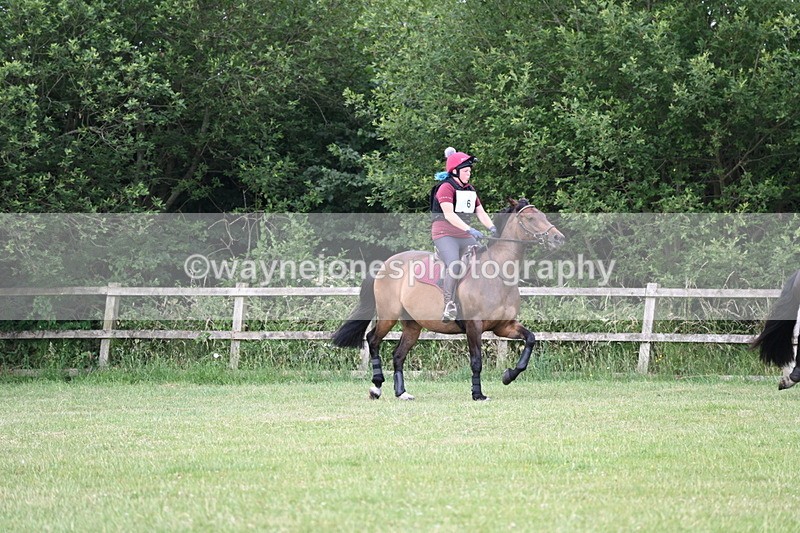 WJ6_5705 - 60cm Pairs XC