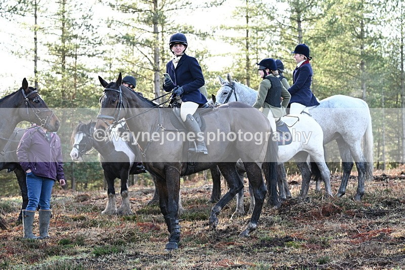 WJ7_7466 - Line 3 (no line 4 or 5)