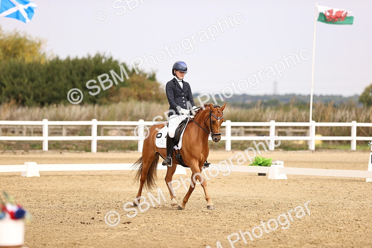 SBM_011684 - Class 1 - Medium 5