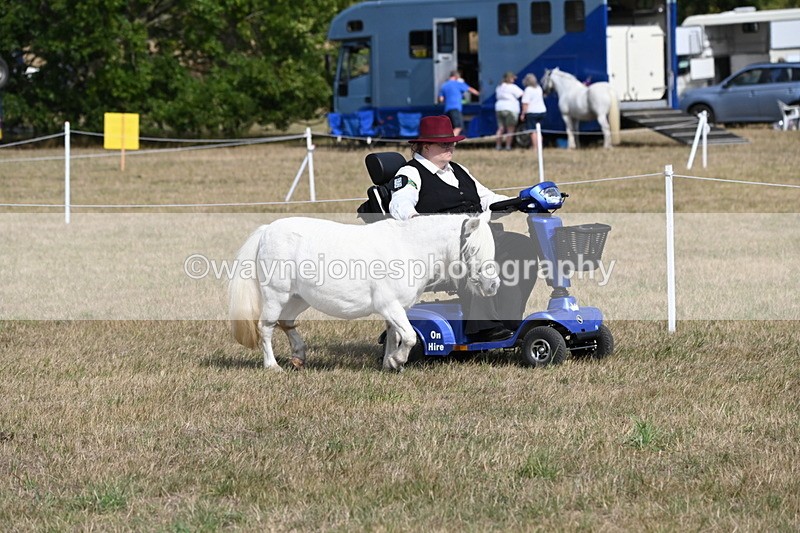 WJ6_6792 - Class 21 Shetland & Mini Horses