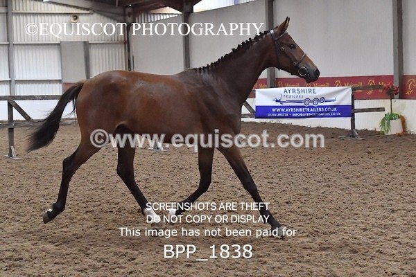 BPP_1838 - MORNING 9AM - 12PM