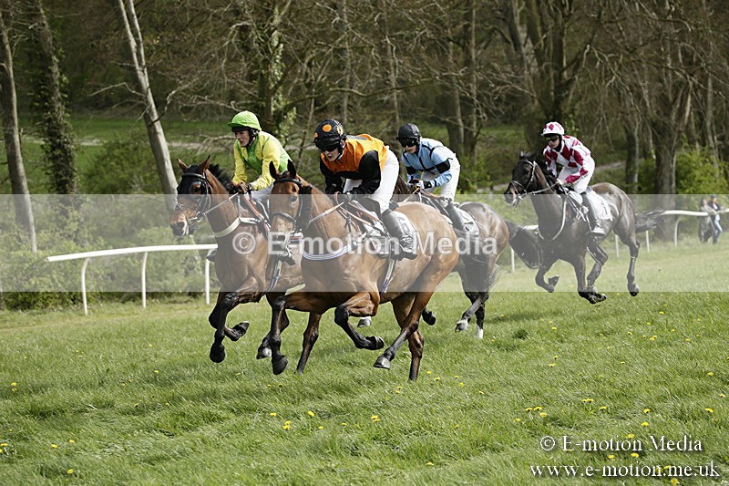 PtP 170417 296 - Old Berks Point-to-Point Lockinge 17/04/17