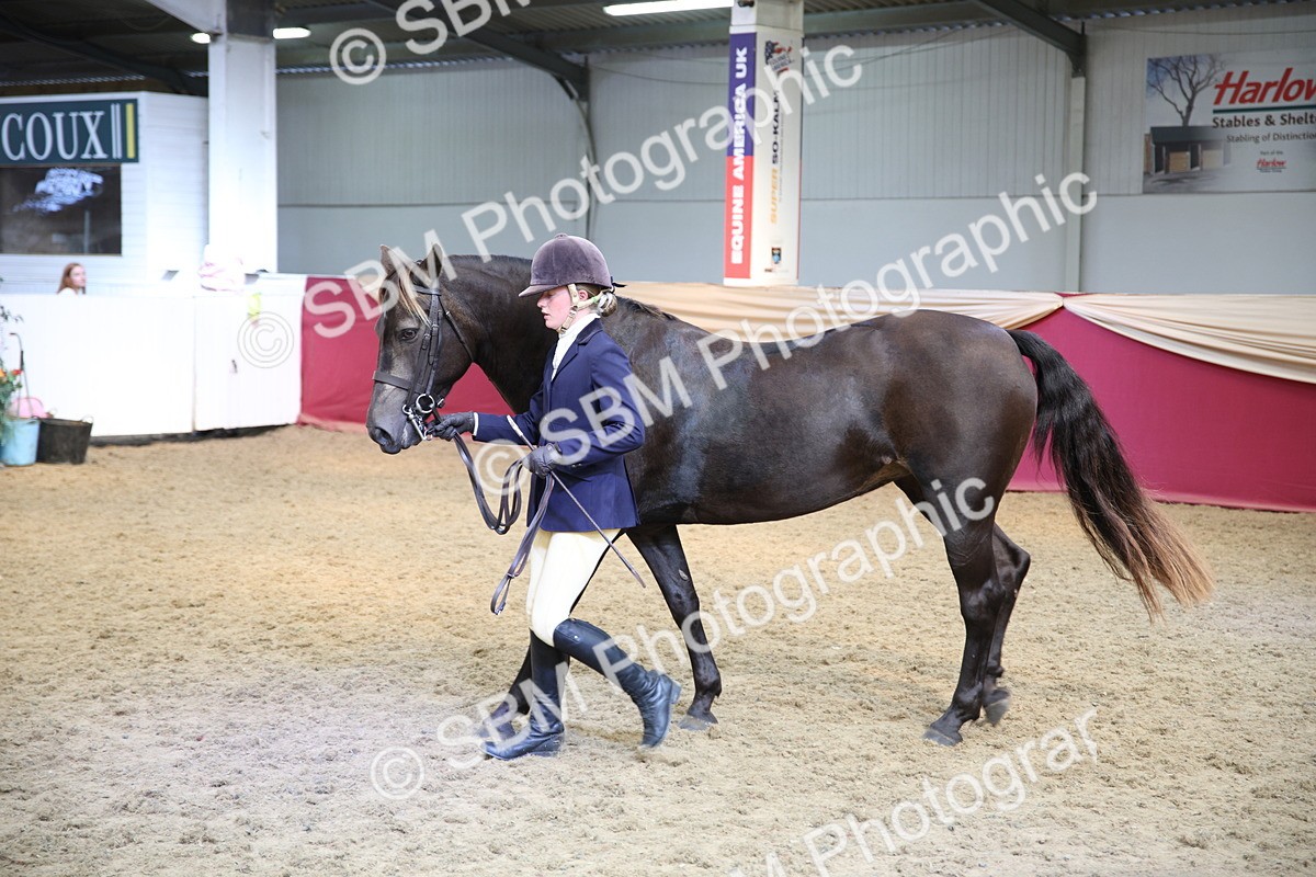 SBM_24765 - Class 906 - Supreme Final - Ridden Pre Vet