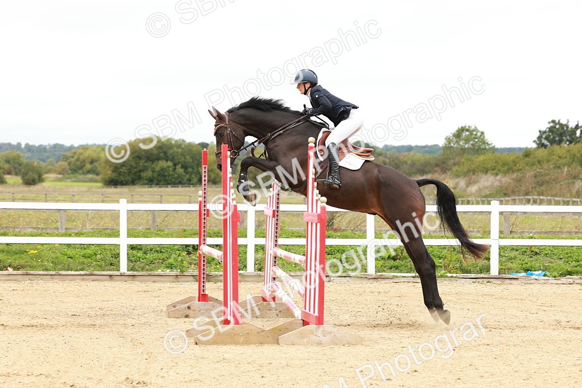 1I0A6832 - Class 2 - Senior British Novice