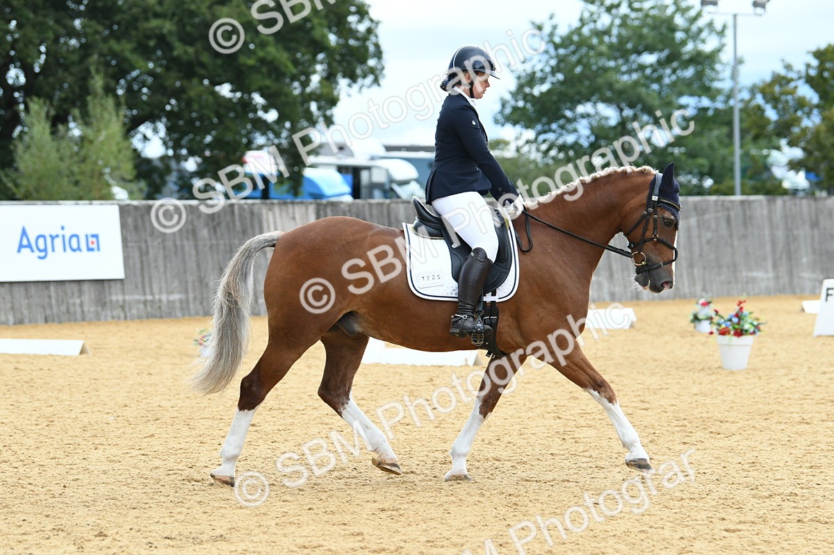 SBM_09921 - D15 Small Tour Championship Novice 24