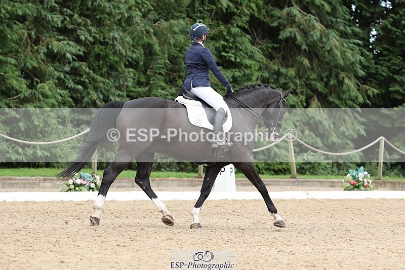 240810-162838-04234 - 232-Brooklyn.Daw-Roulette.MKM