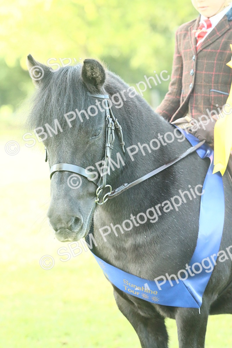SBM_61117 - Starter Supreme Championship