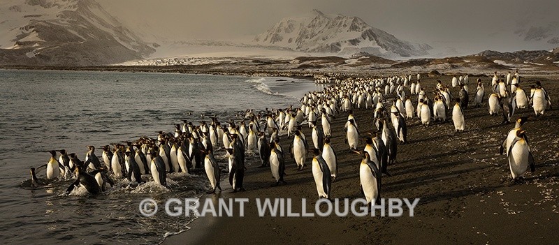  - Antartica