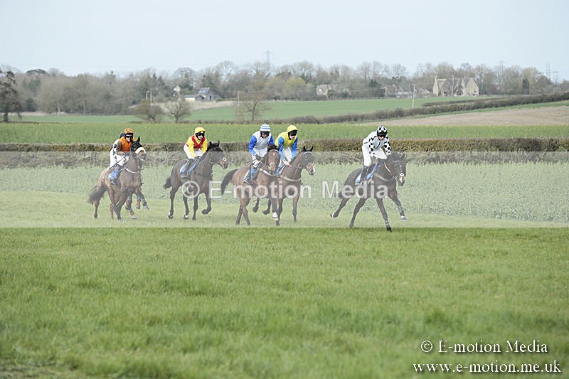PtP 230319 235 - VWH Hunt Siddington Point-to-Point Racing 23/03/19