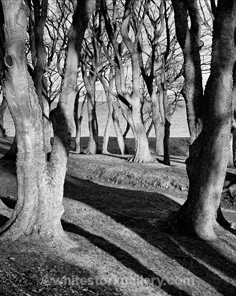 Links, Nairn - Nairn, Scottish Highlands -Zero Miles ( Black and White)