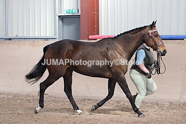 SIAL9767 - Indoor Classes