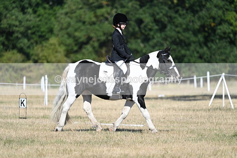 WJ7_9355 - Time 10:08 to 10:13