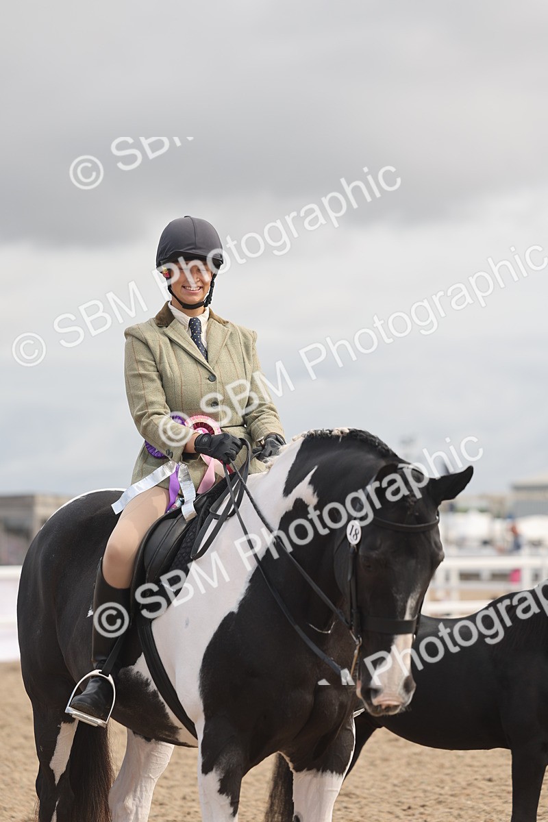 SBM_04519 - Class 18 - Handsomest Gelding (IH or Ridden)