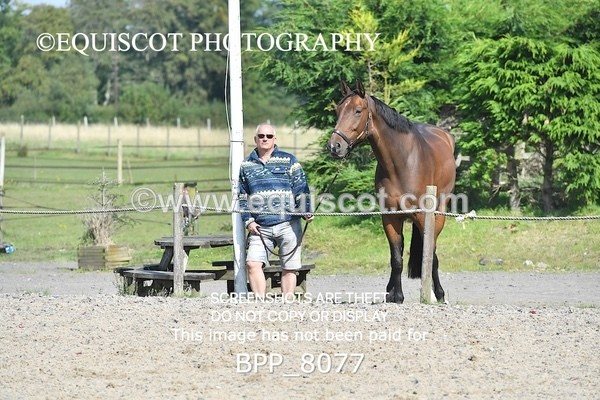 BPP_8077 - CLASS 5 Senior 1.05m Open
