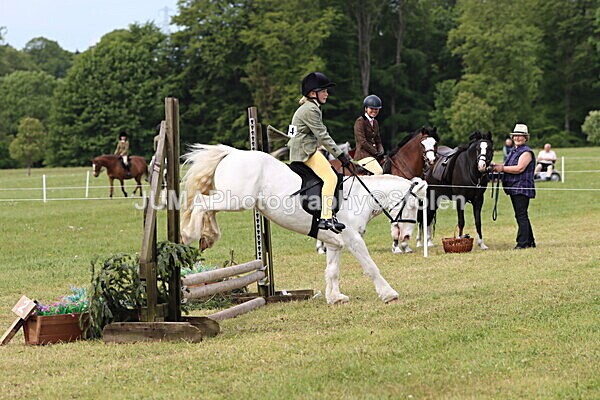 IMG_2533 - Working Hunter