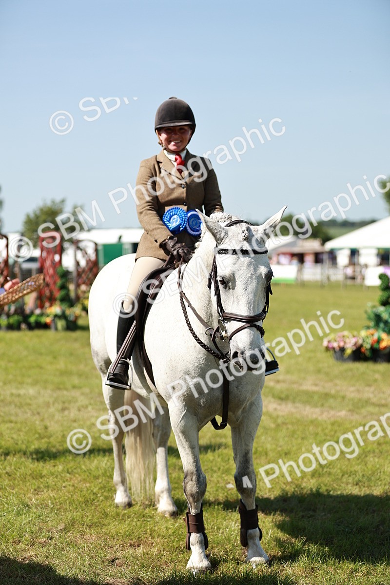 SBM_18548 - Class 112-113 - BSPS LIHS Working Sports Pony