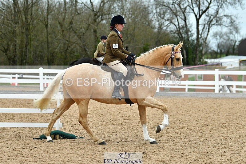 230416A-142946-05224 - Cls 74 Warmblood