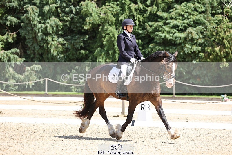 240721-132744-08805 - 176-Amanda_Williams-Llanarth_Westminster