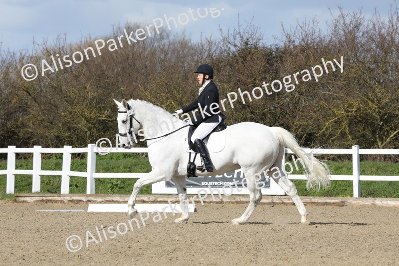 20260314-4901 - CT6 - Elementary 1