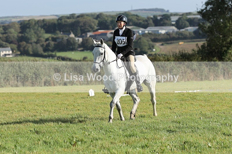 JPP_7880 - Class 2A: Trekenning Open: Dressage