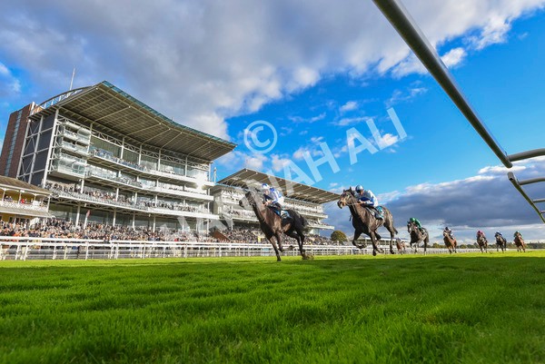 111024-Race 6-Fondo Blanco-8195 - Race 6 4.20pm William Hill EBF Novice Stakes