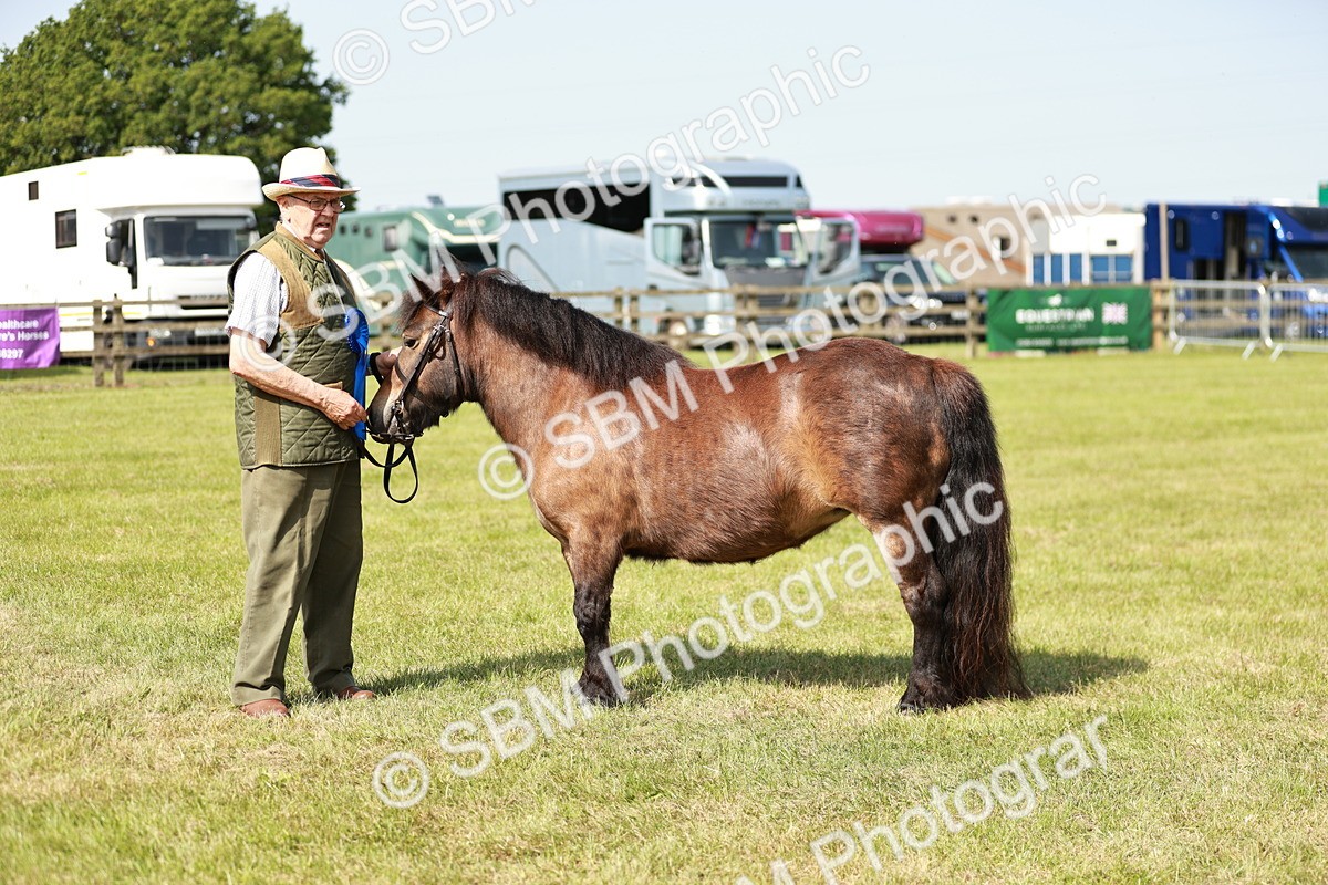 SBM_01858 - Class 14-23 - Mountain & Moorland In Hand Non Welsh