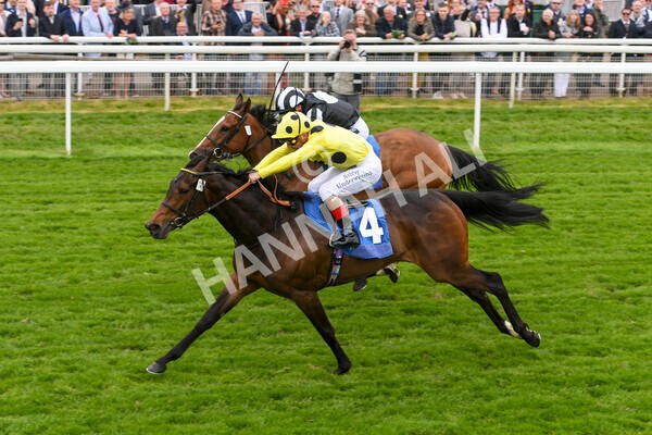 yr13052022r2-28 - Race 2 2.25pm Oaks Farm Stables Fillies' Stakes (registered as the Michael Seely Memorial Stakes)