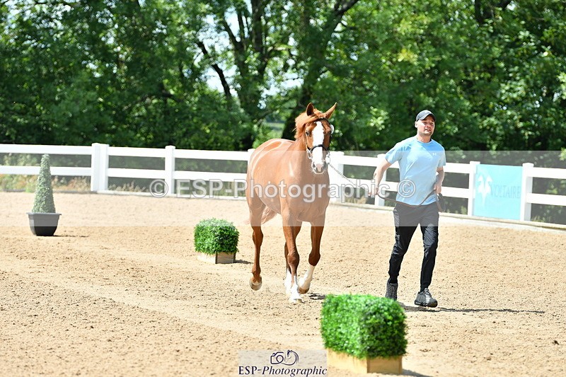 230719A-140252-00518 - Trot Up 2pm to 3pm