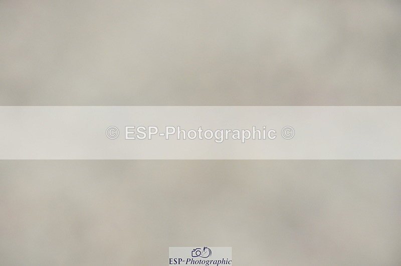 240210A-145338-01648 - Cls 26 Springboard